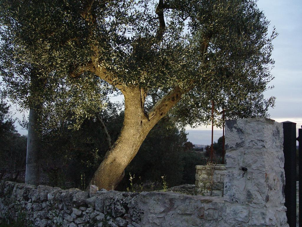 Séjour à la ferme Trullo Sereno Angelo Locorotondo